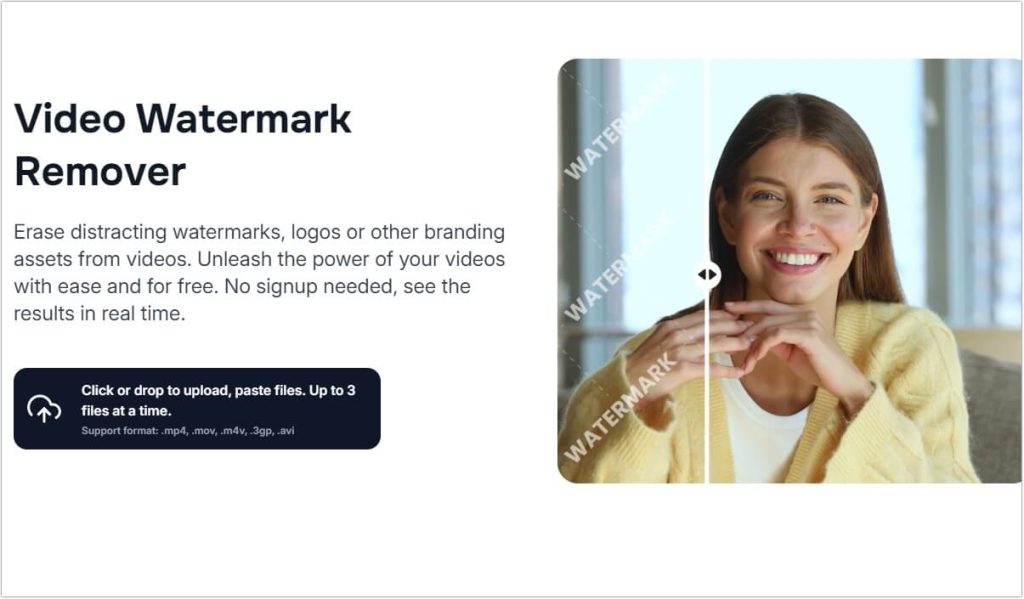 vmake-video-watermark-remover